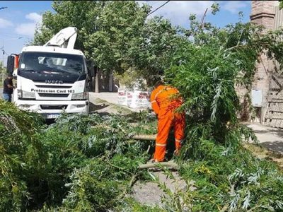El viento causó trastornos y suspensión de actividades en Neuquén, pero no hubo víctimas