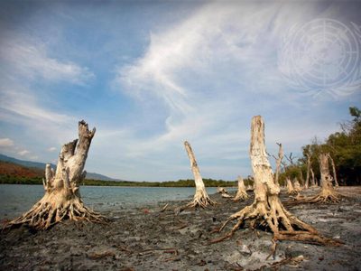 Parlamentarios de la UE apoyan una importante ley sobre medio ambiente y cambio climático