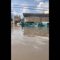 "Diseño de hospital en Tula no contemplaba planta de luz": IMSS Hidalgo