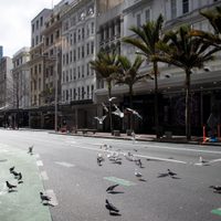 La mayor ciudad de Nueva Zelanda continuará en cuarentena por "casos misteriosos" de coronavirus
