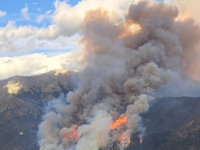 Más de 1.000 hectáreas afectadas por un incendio forestal intencional en Cuesta del Ternero