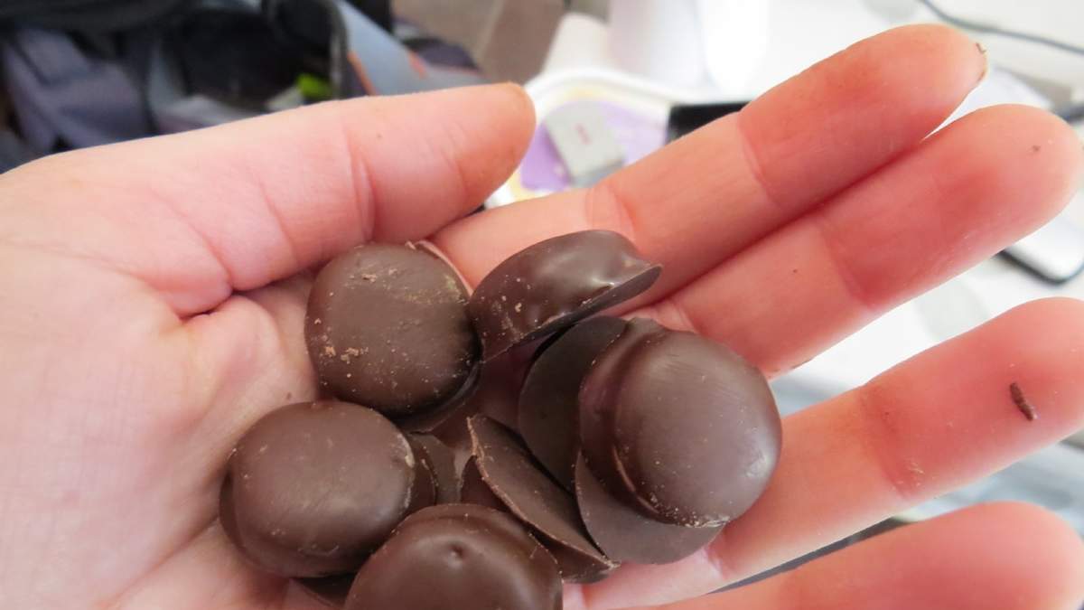 Galletitas. Fuente: (X)