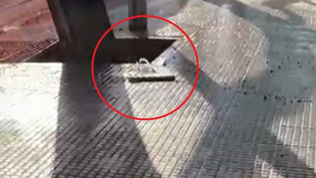 La fuente que brota en las baldosas.