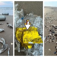 Encuentran restos de un cohete Starship en una playa de Tamaulipas