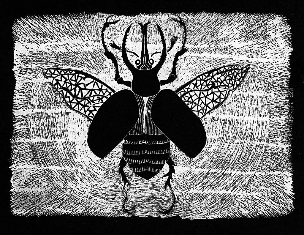 insecto