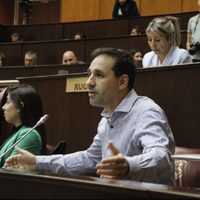 Claudio Domínguez se mostró dispuesto a tratar el proyecto de presentismo para legisladores