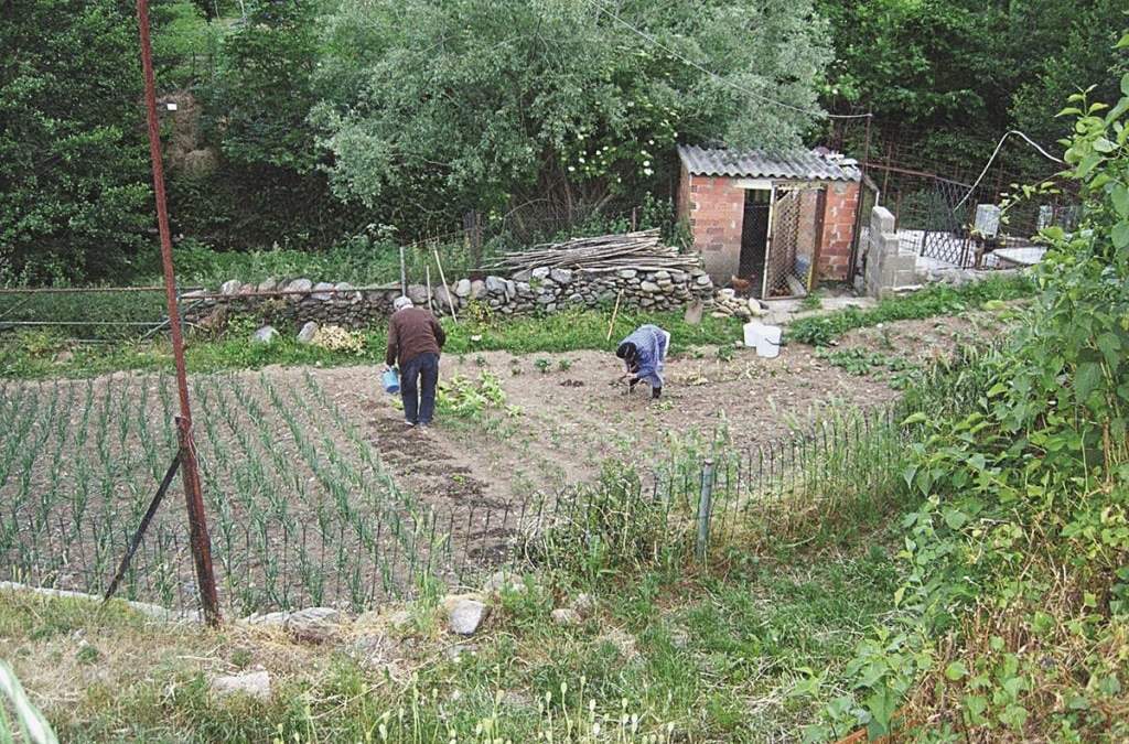 Piden que los jubilados puedan trabajar su huerto. Fuente: (Twitter)