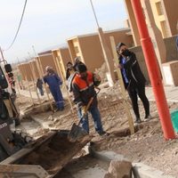Zapala: continúa a muy buen ritmo la plantación de arbolado urbano