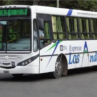 Después de tres días, San Martín de los Andes volvió a tener servicio de colectivos