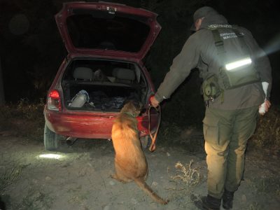 Encuentran 13 kilos de marihuana fraccionada en un auto que quiso huir de un control y chocó