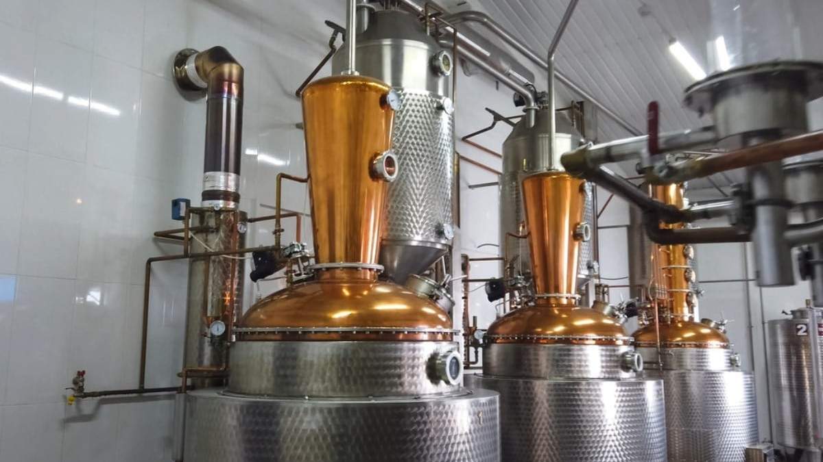 Volverán a elaborar bebidas. Fuente: (Twitter)