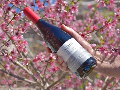 Bodega neuquina fue premiada en el Mundial de Pinot Noir