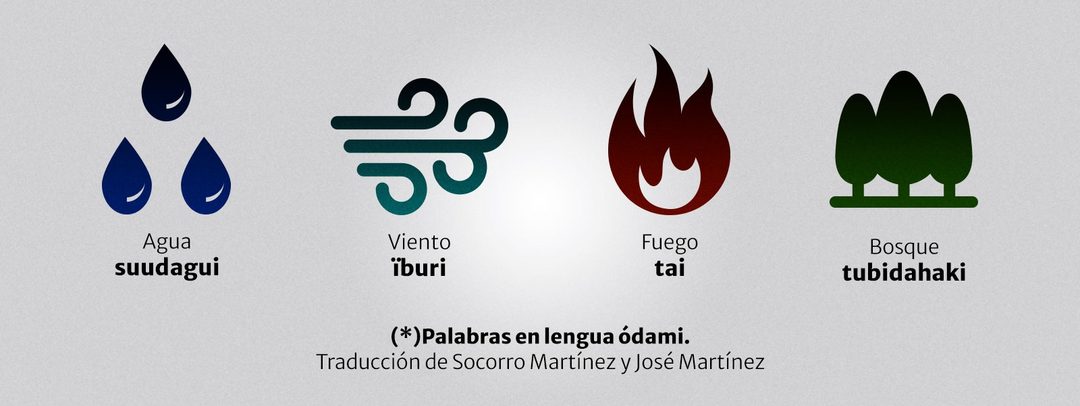 palabras_odami