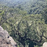 Hallan una civilización perdida de 10.000 años de antigüedad