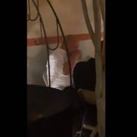 Denuncian en redes asistencia de Alfaro a un bar en plena pandemia (video)