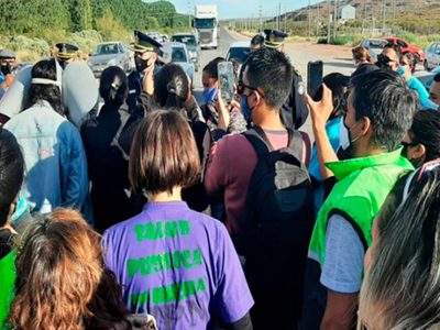 Neuquén: productores ganaderos denuncian pérdidas millonarias por los cortes de Salud