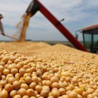 El Gobierno oficializó la baja de retenciones que rige desde este lunes
