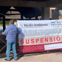 Profepa suspende las acrobacias con delfines en el hotel Barceló Riviera Maya (Video)