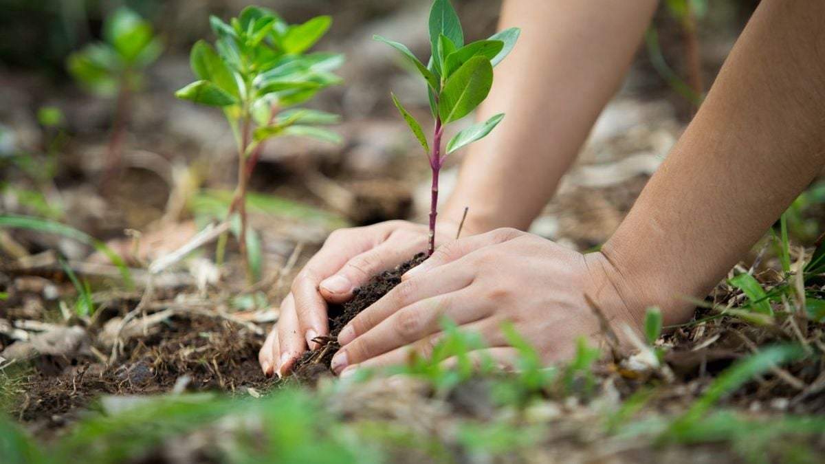 Cuidado del medio ambiente en Argentina. Fuente: (Twitter)