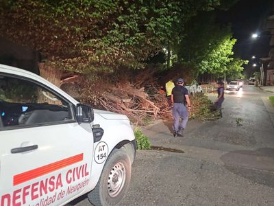 El fuerte viento con ráfagas superiores a 70 kilómetros por hora generó complicaciones en Neuquén