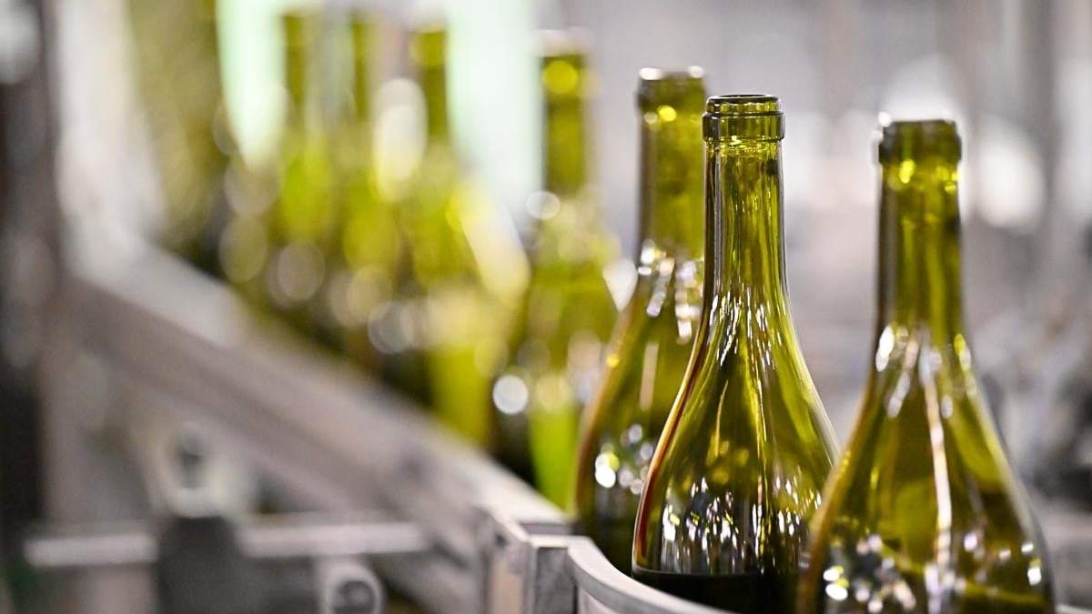 Botellas de vino. Fuente: (X)