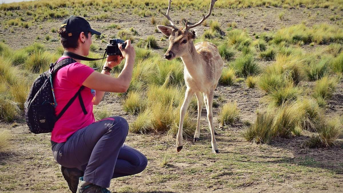 Animales en libertad en un paraje bonaerense. Fuente: (Instagram)