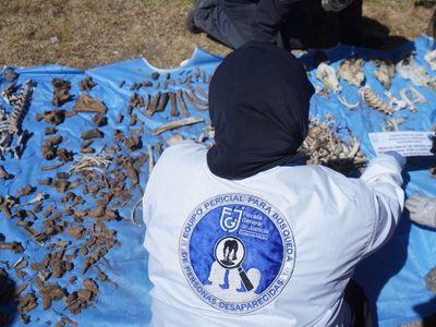 Peritos forenses se unen al paro judicial; esto demandan en medio de la crisis