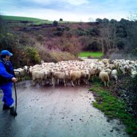 El Covid 19 trajo la reivindicación de los productores rurales