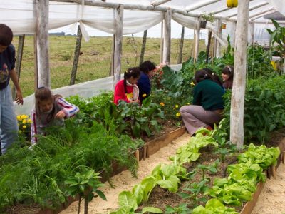 Unos 25 municipios del país fomentan las huertas orgánicas