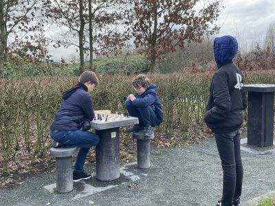 Cuatro portales para jugar y estudiar ajedrez
