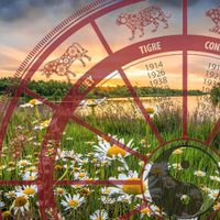 Cómo marcan los elementos de la naturaleza a los signos del Horóscopo chino