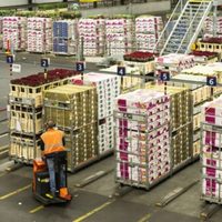 Con leve baja mensual, la actividad económica subió 5% interanual en mayo