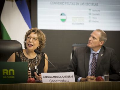 Mañana Arabela Carreras volverá a la Legislatura para la apertura de las sesiones ordinarias
