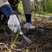 Mulch: el truco que evitará que tu jardín sufra el invierno