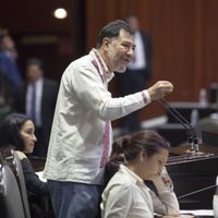 Fernández Noroña ofrece disculpa… pero a magistrados, no a diputada panista