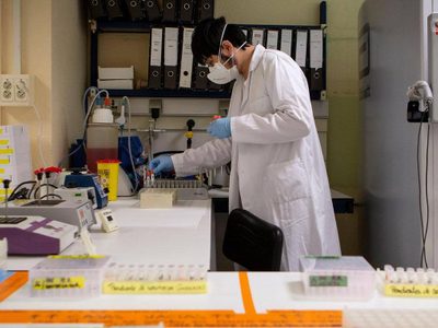 Avances en la investigación: secuenciaron nuevas cepas del coronavirus