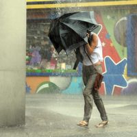 Alerta amarilla en la región: advierten sobre lluvias intensas, vientos fuertes y granizo