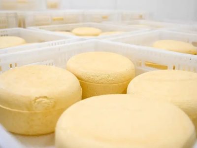 Brote de listeriosis por el consumo de un queso contaminado