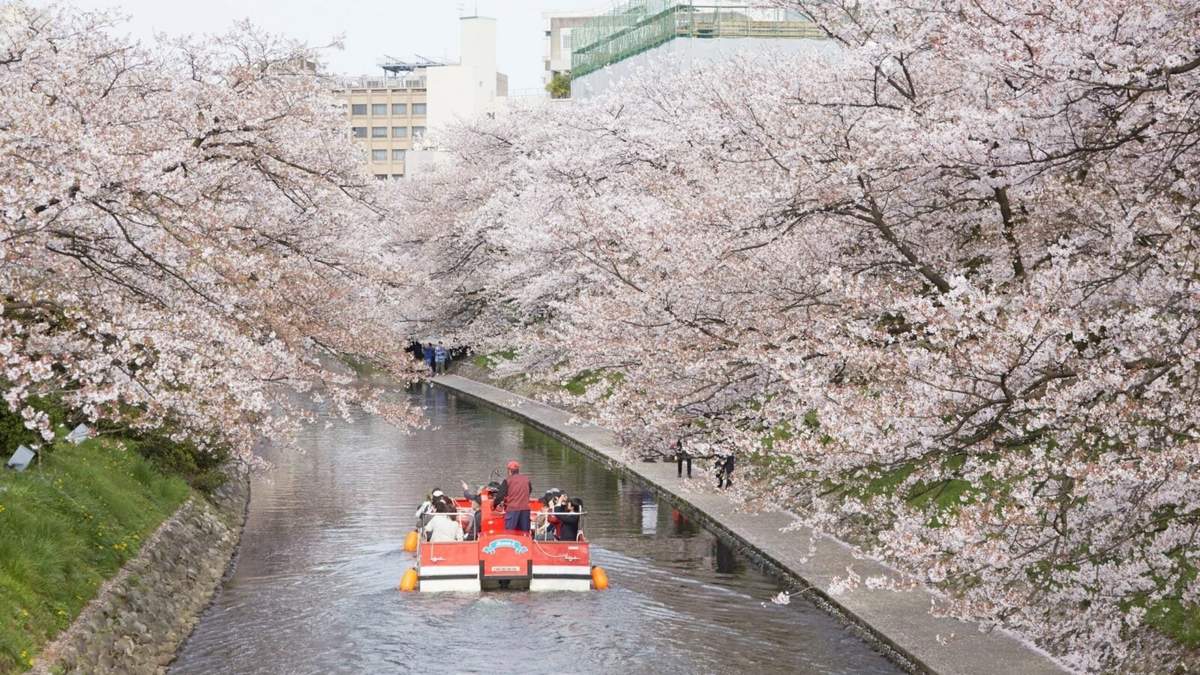Fomentarán el turismo local en Japón. Fuente: (Instagram)