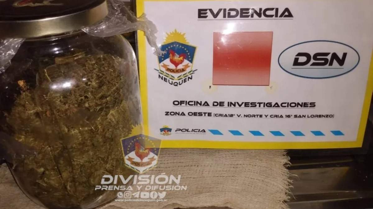 Antinarcóticos halló plantines de cannabis sativa. Fuente: (Prensa Policía)