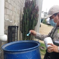 Suman nueve decesos por demngue en Oaxaca y mil 325 casos confirmados
