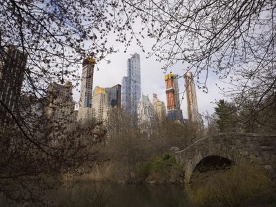 Hombre mata a puñaladas a perro tras discutir con su dueña en NY