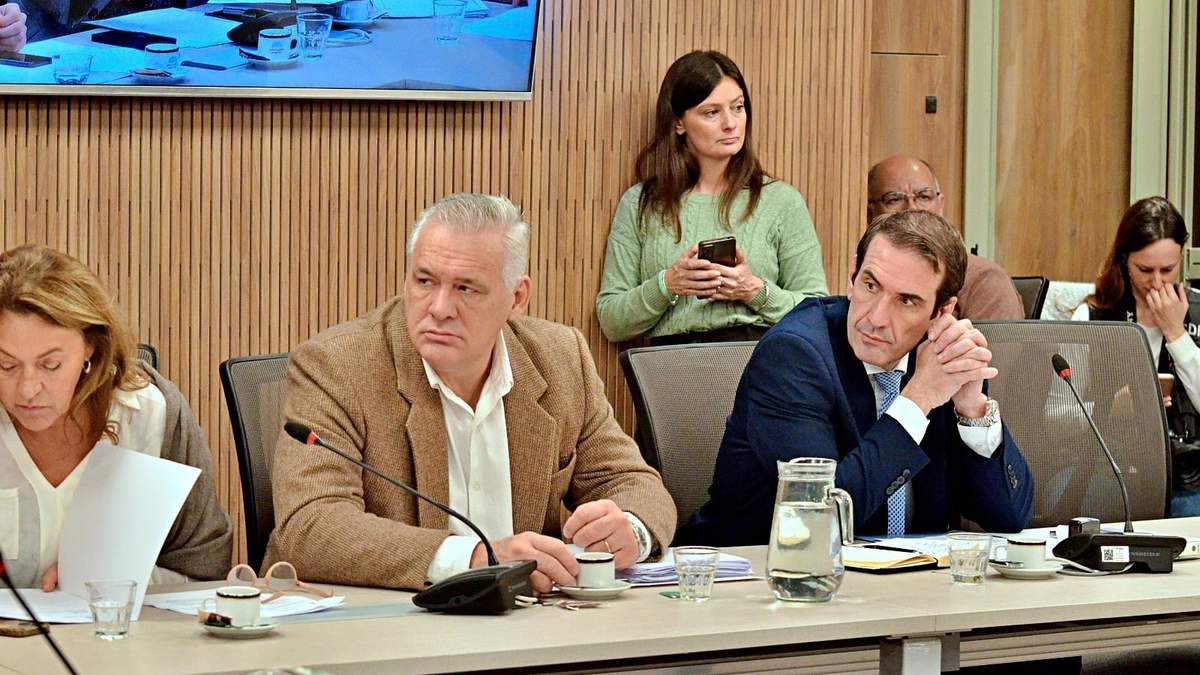 Pablo Cervi durante la reunión en Diputados. Fuente: (Twitter)