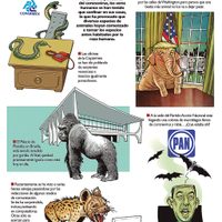 Invasión animal