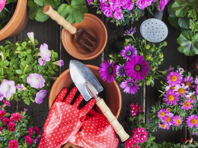 El truco fácil y barato para mantener tus plantas más hermosas que las de un vivero