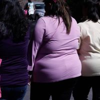 La OCDE aseguró que México tiene la tasa más alta de obesidad de Latinoamérica
