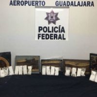 En Guadalajara, decomisan crystal oculto en cuadros que iban hacia Holanda