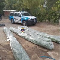 En un allanamiento en Vista Alegre, la policía secuestró armas, drogas y una pistola tumbera