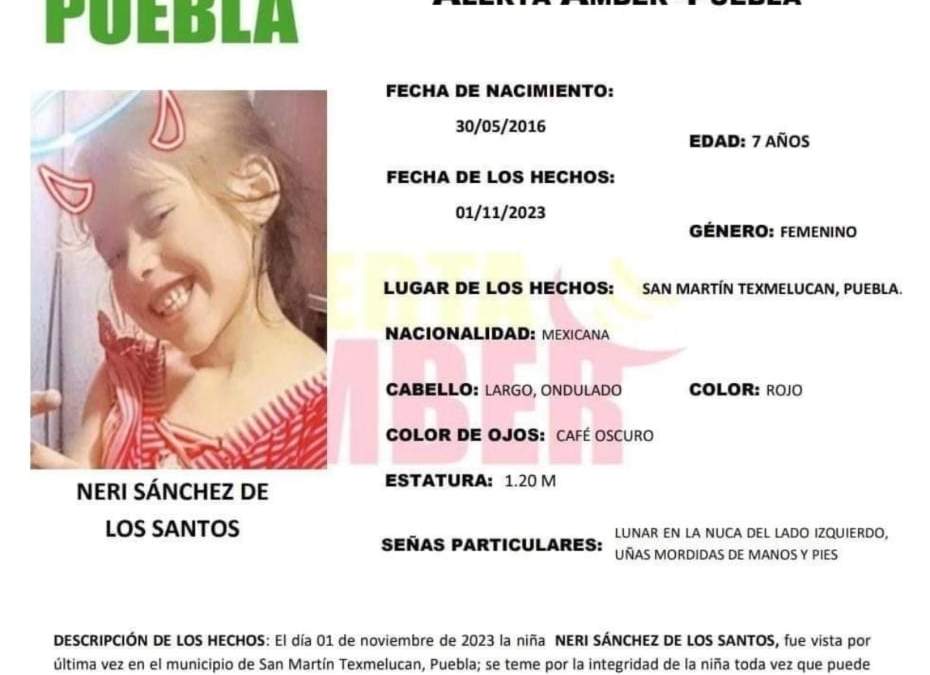 La ficha de búsqueda de Neri