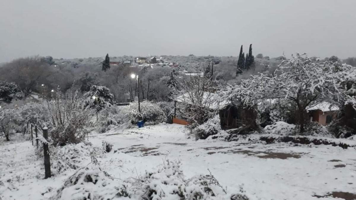 Temporal de nieve en la provincia de Neuquén. Fuente: (Twitter)